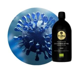 Najlepszy probiotyk na jelita